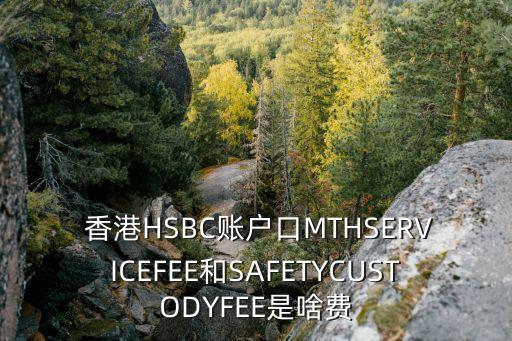  香港HSBC賬戶(hù)口MTHSERVICEFEE和SAFETYCUSTODYFEE是啥費(fèi)