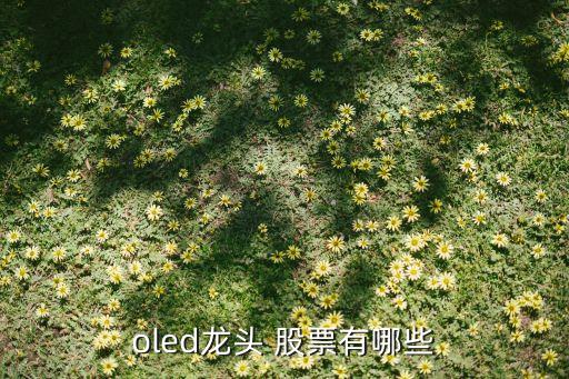 OLED概念股票,oled概念是什么意思