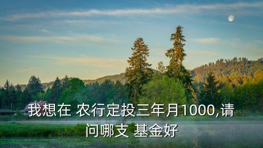 我想在 農(nóng)行定投三年月1000,請問哪支 基金好