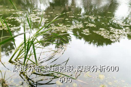 深度分析 綠地控股,深度分析600606