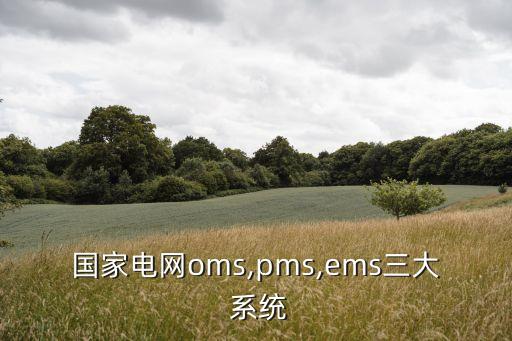 國家電網(wǎng)oms,pms,ems三大 系統(tǒng)