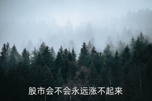 股市會(huì)不會(huì)永遠(yuǎn)漲不起來(lái)