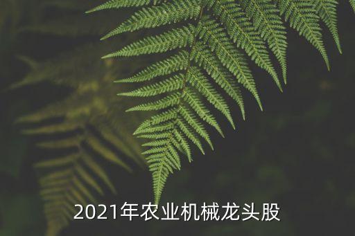 2021年農(nóng)業(yè)機(jī)械龍頭股