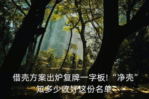  借殼方案出爐復(fù)牌一字板!“凈殼”知多少收好這份名單