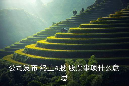 公司發(fā)布 終止a股 股票事項(xiàng)什么意思