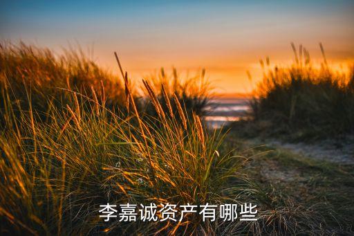  李嘉誠(chéng)資產(chǎn)有哪些