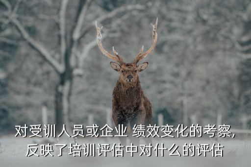 對(duì)受訓(xùn)人員或企業(yè) 績效變化的考察,反映了培訓(xùn)評(píng)估中對(duì)什么的評(píng)估