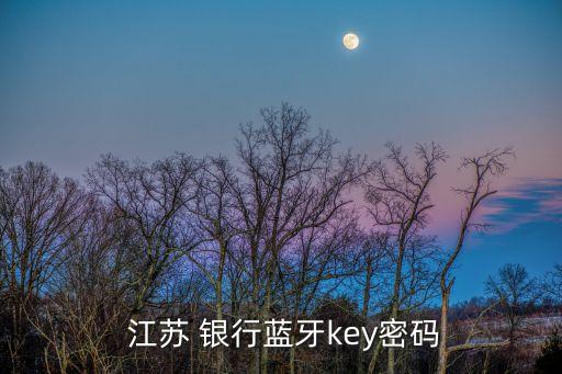  江蘇 銀行藍牙key密碼