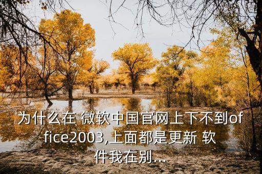 為什么在 微軟中國官網(wǎng)上下不到office2003,上面都是更新 軟件我在別...