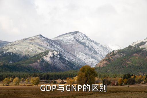 gdp和gnp哪個(gè)真正反映中國經(jīng)濟(jì)