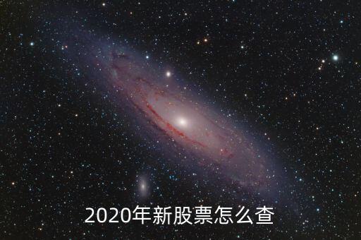 2020年新股票怎么查