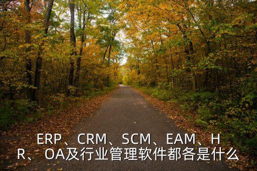 ERP、CRM、SCM、EAM、HR、 OA及行業(yè)管理軟件都各是什么