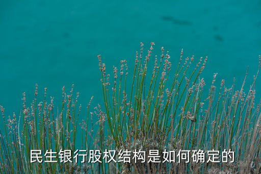 安邦保險(xiǎn)舉牌民生銀行