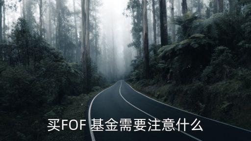 買(mǎi)FOF 基金需要注意什么