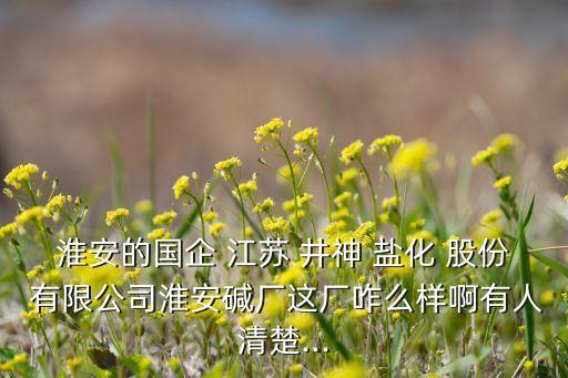 淮安的國(guó)企 江蘇 井神 鹽化 股份 有限公司淮安堿廠這廠咋么樣啊有人清楚...