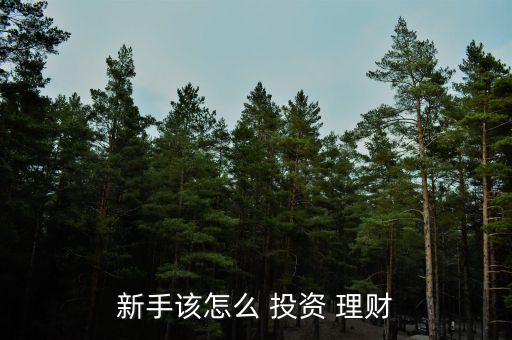 新手該怎么 投資 理財(cái)