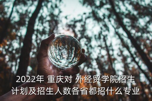 2022年 重慶對 外經(jīng)貿(mào)學(xué)院招生計劃及招生人數(shù)各省都招什么專業(yè)