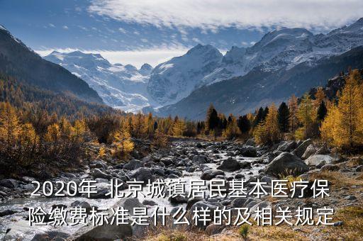 2020年 北京城鎮(zhèn)居民基本醫(yī)療保險繳費標(biāo)準(zhǔn)是什么樣的及相關(guān)規(guī)定