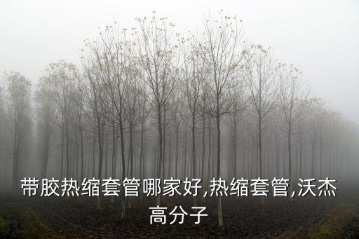 帶膠熱縮套管哪家好,熱縮套管,沃杰高分子