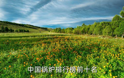 杭州杭鍋江南能源有限公司,浙江杭鍋江南國際貿(mào)易有限公司