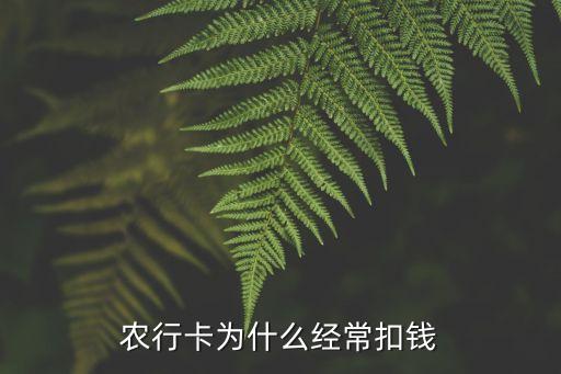 農(nóng)行卡為什么經(jīng)?？坼X