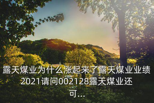 露天煤業(yè)為什么漲起來了露天煤業(yè)業(yè)績2021請問002128露天煤業(yè)還可...