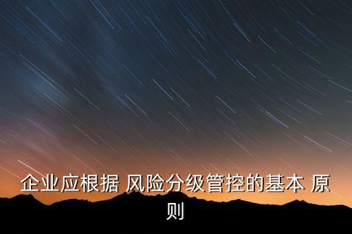 公司風(fēng)險(xiǎn)管理原則,風(fēng)險(xiǎn)管理原則與實(shí)施指南