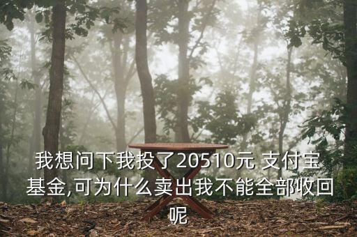 我想問(wèn)下我投了20510元 支付寶 基金,可為什么賣(mài)出我不能全部收回呢