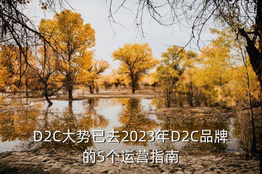 D2C大勢已去2023年D2C品牌的5個運營指南