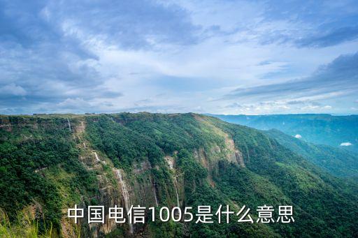  中國(guó)電信1005是什么意思