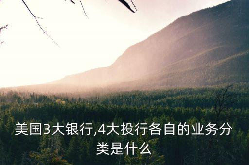 美國3大銀行,4大投行各自的業(yè)務分類是什么