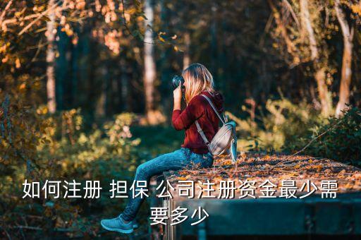 如何注冊 擔(dān)保 公司注冊資金最少需要多少