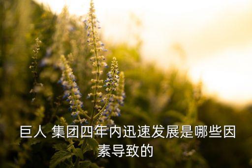 巨人集團手游,進擊的巨人2手游下載