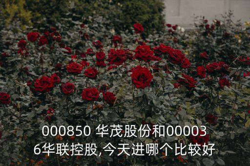 000850 華茂股份和000036華聯(lián)控股,今天進(jìn)哪個(gè)比較好