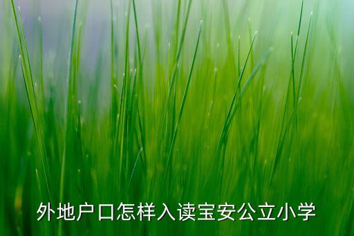 外地戶(hù)口怎樣入讀寶安公立小學(xué)