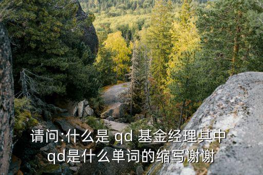 請問:什么是 qd 基金經理其中 qd是什么單詞的縮寫謝謝