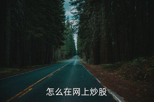 怎么在網(wǎng)上炒股