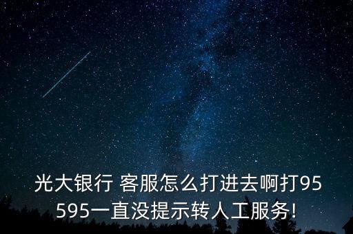  光大銀行 客服怎么打進去啊打95595一直沒提示轉(zhuǎn)人工服務(wù)!