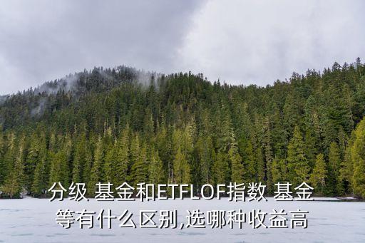 etf比分級(jí)基金交易手續(xù)費(fèi)那個(gè)貴,ETF基金交易手續(xù)費(fèi)有哪些?