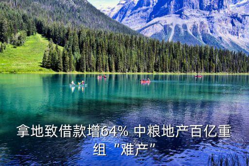 拿地致借款增64% 中糧地產百億重組“難產”