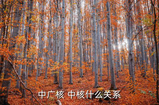 中核集團(tuán)是央企嗎,中核正式員工年收入