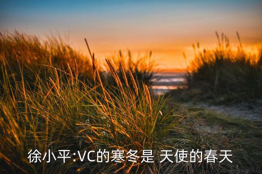 徐小平:VC的寒冬是 天使的春天