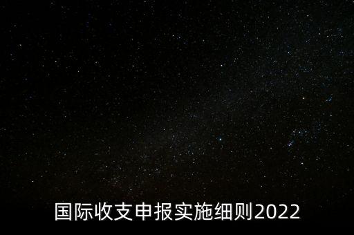 國(guó)際收支申報(bào)實(shí)施細(xì)則2022