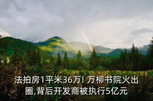 法拍房1平米36萬(wàn)! 萬(wàn)柳書(shū)院火出圈,背后開(kāi)發(fā)商被執(zhí)行5億元