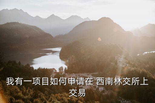 我有一項(xiàng)目如何申請?jiān)?西南林交所上交易