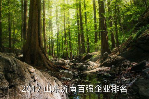 2017 山東濟(jì)南百?gòu)?qiáng)企業(yè)排名