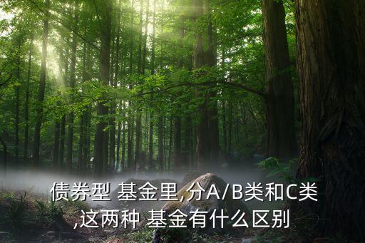  債券型 基金里,分A/B類和C類,這兩種 基金有什么區(qū)別