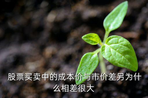 福星股份股票分析,洋河股份股票分析