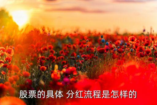 上市公司怎么給股民分紅,普通股民怎么參與分紅