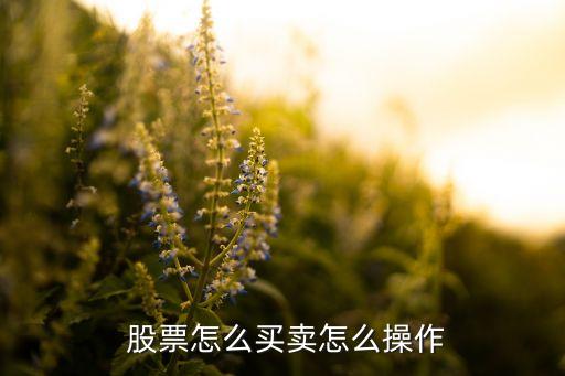  股票怎么買(mǎi)賣(mài)怎么操作